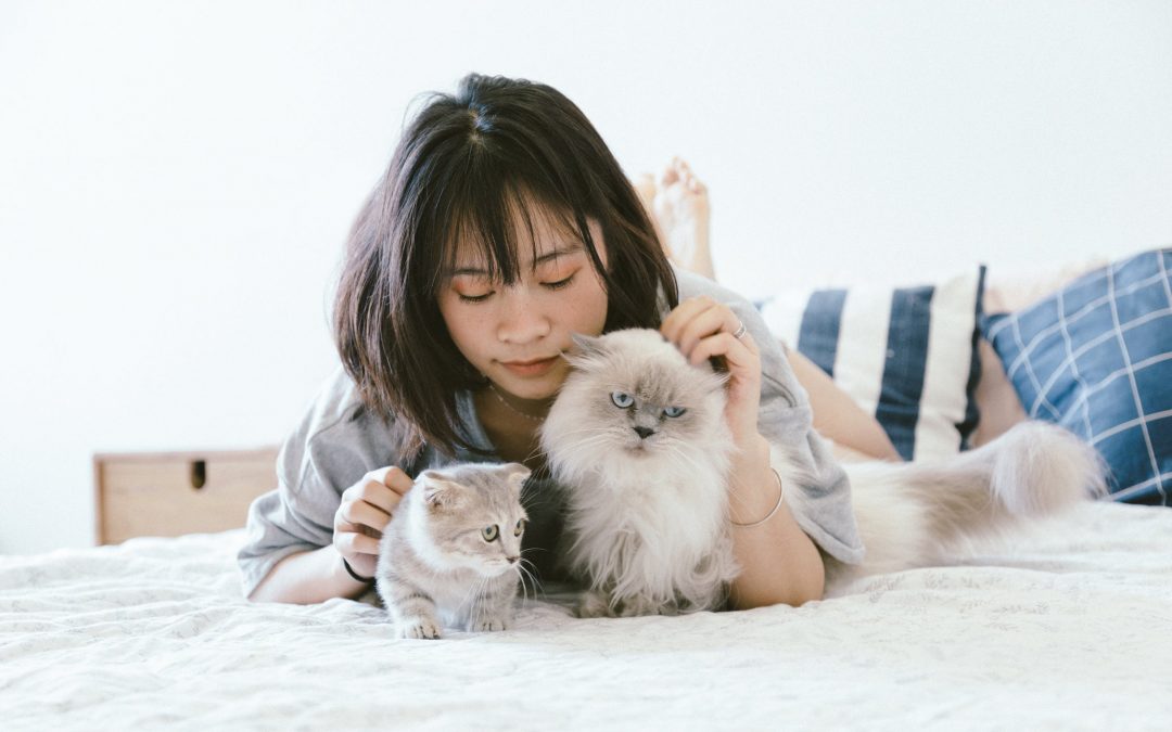 PETS AND TRAVEL: WHAT TO DO